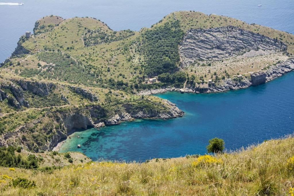 Maison Marianna Διαμέρισμα Σορέντο Εξωτερικό φωτογραφία